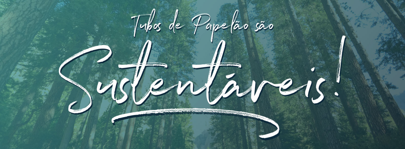 Tubos de Papelão São Sustentáveis